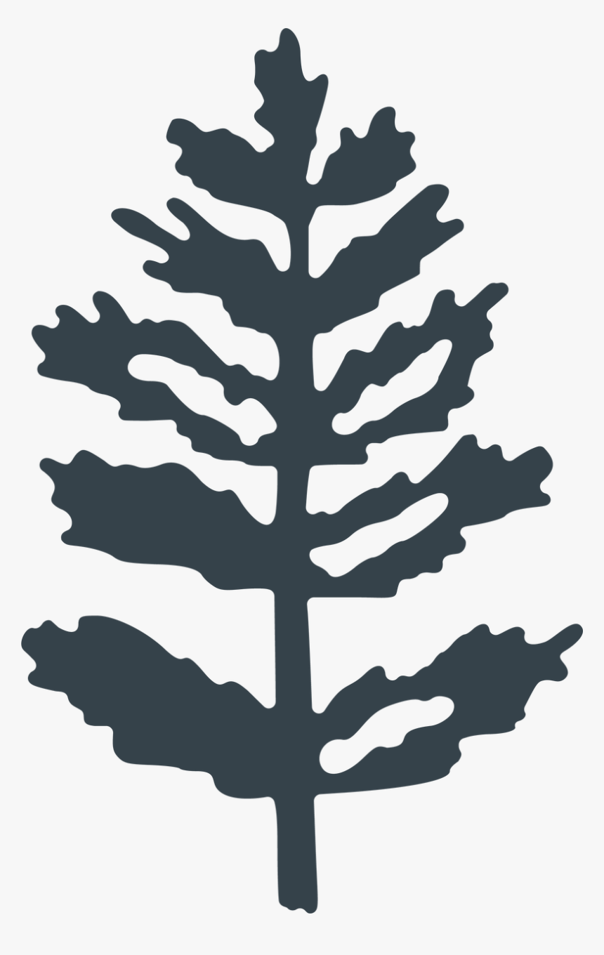 Let It Snow Pine Tree Svg Cut File - White Pine, HD Png Download, Free Download