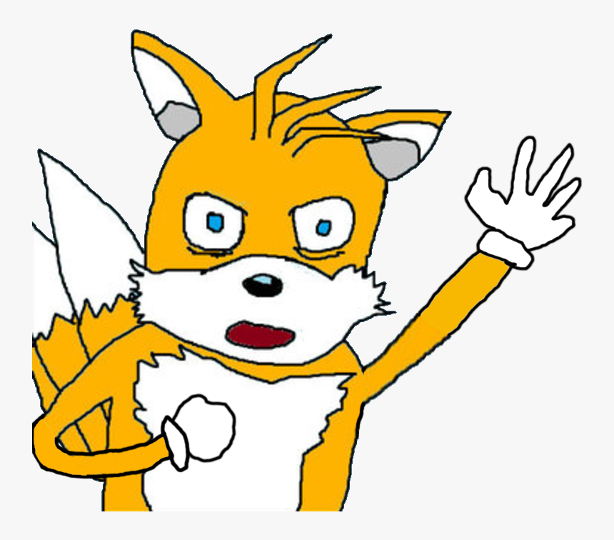 View Samegoogleiqdbsaucenao 1495831870094 , - Tails Gets Trolled Face, HD Png Download, Free Download