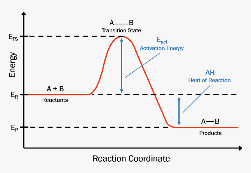 Reaction Coordinate Diagram - Reaction Coordinate Activation Energy, HD Png Download, Free Download