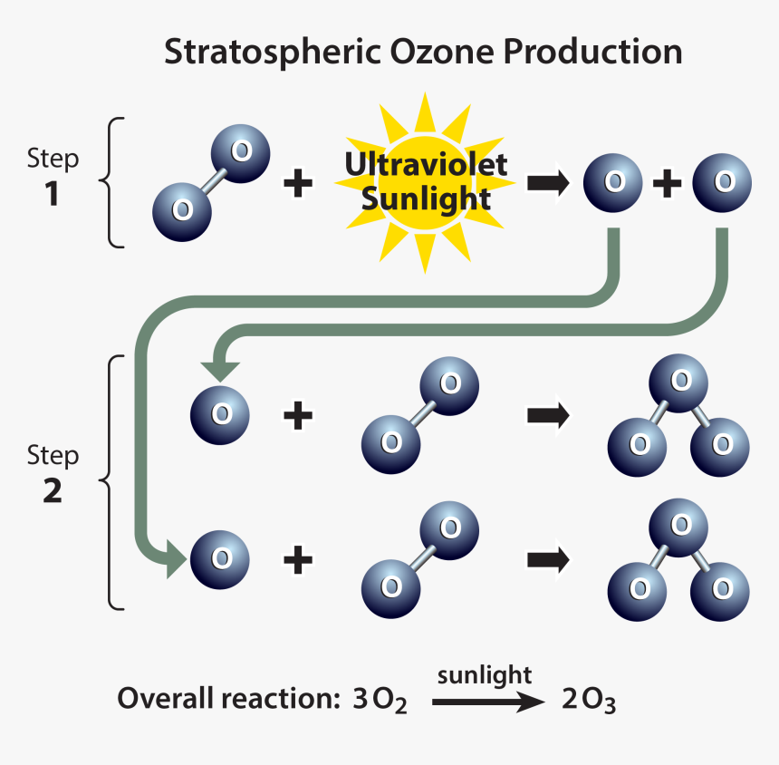 Chemical Process Of Ozone Depletion, HD Png Download, Free Download