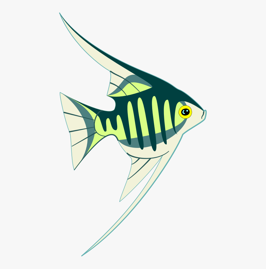 A Tropical Fish - Coreldraw, HD Png Download, Free Download