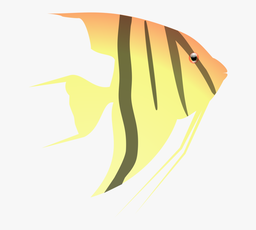 Art,fin,fish - Angel Fish Cartoon, HD Png Download, Free Download