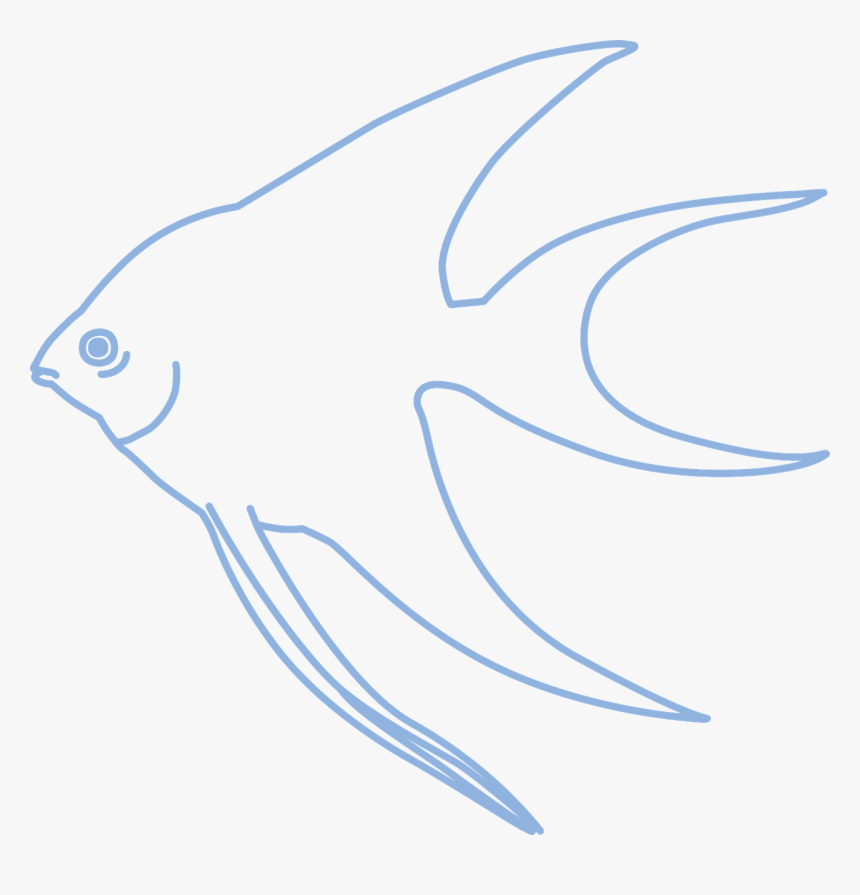 Simple Angelfish Tropical Fish Free Photo - Simple Angel Fish, HD Png Download, Free Download