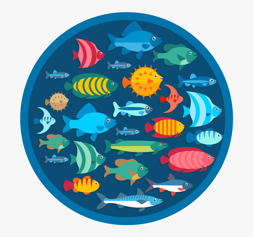 Tropical Fish Png, Transparent Png, Free Download