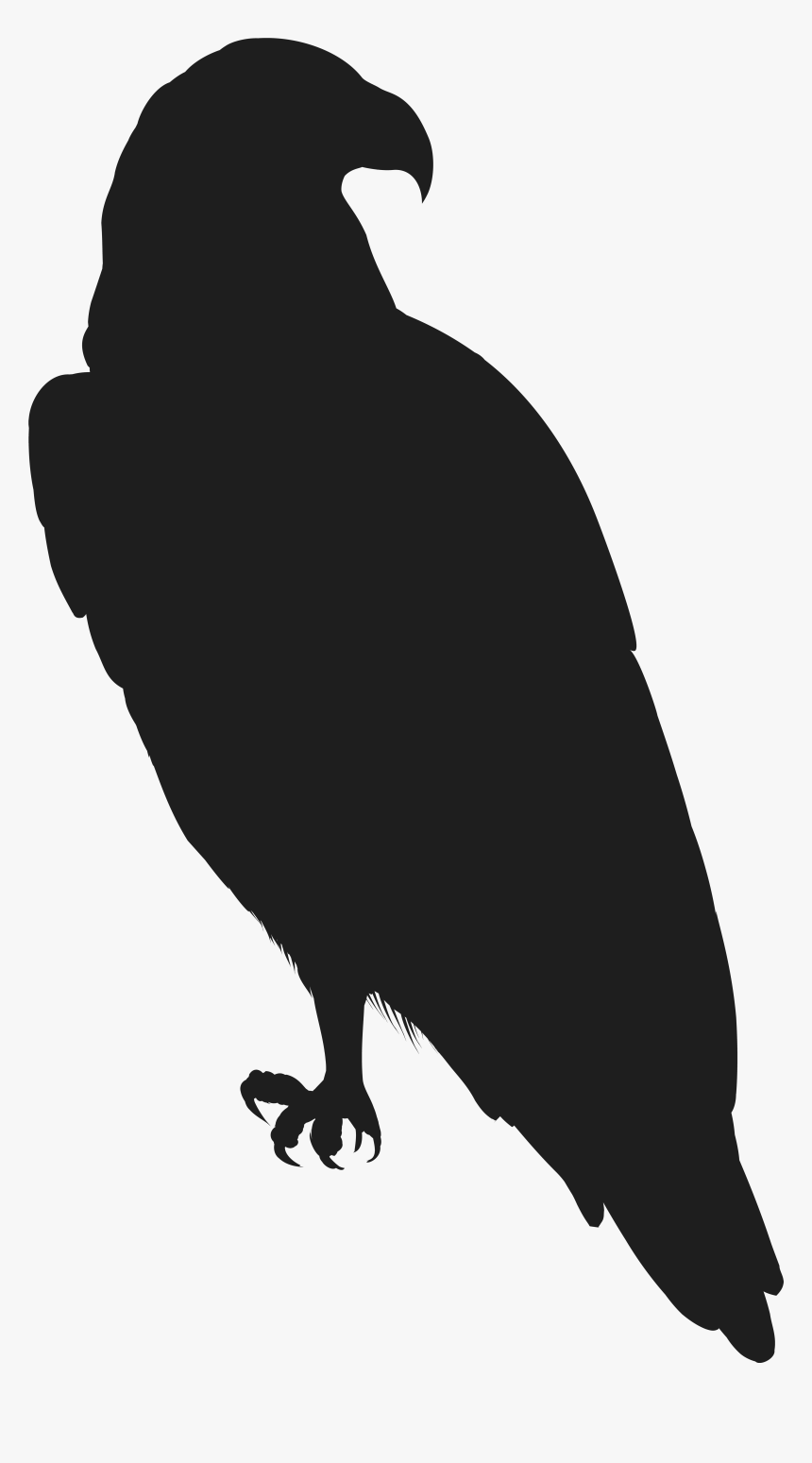 free eagle black and white clipart images