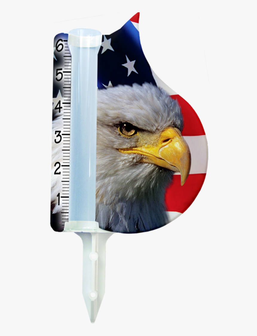 Bald Eagle With American Flag - Cbtis Fronterizo, HD Png Download, Free Download