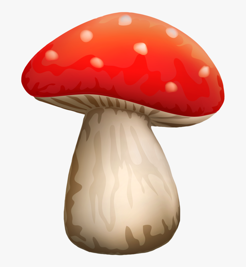 Mushroom Clipart White Dot - Mushroom Clipart Png, Transparent Png, Free Download