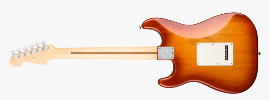 Sienna Sunburst Stratocaster Pickups, HD Png Download, Free Download