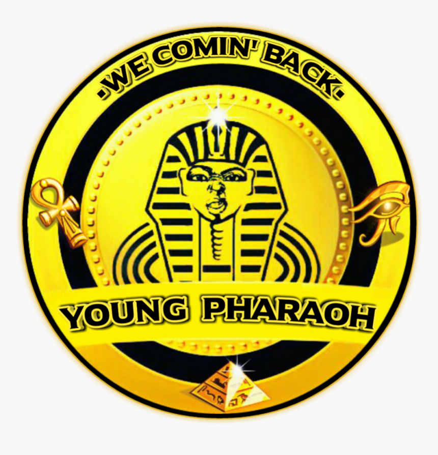 Black Woman Png, Transparent Png, Free Download