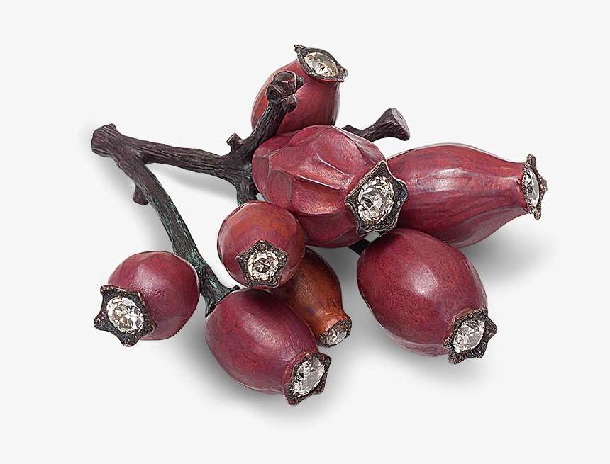 Hemmerle Brooch Shaped As A Rosehip - Shallot, HD Png Download, Free Download
