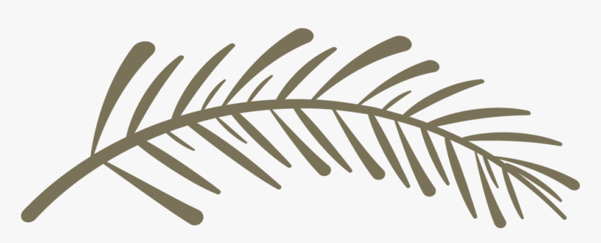 Spiritwood-pinebranch - Twig, HD Png Download, Free Download