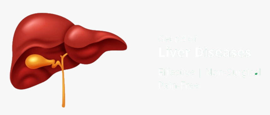 Homeopathic Treatment For Liver Problems, HD Png Download, Free Download