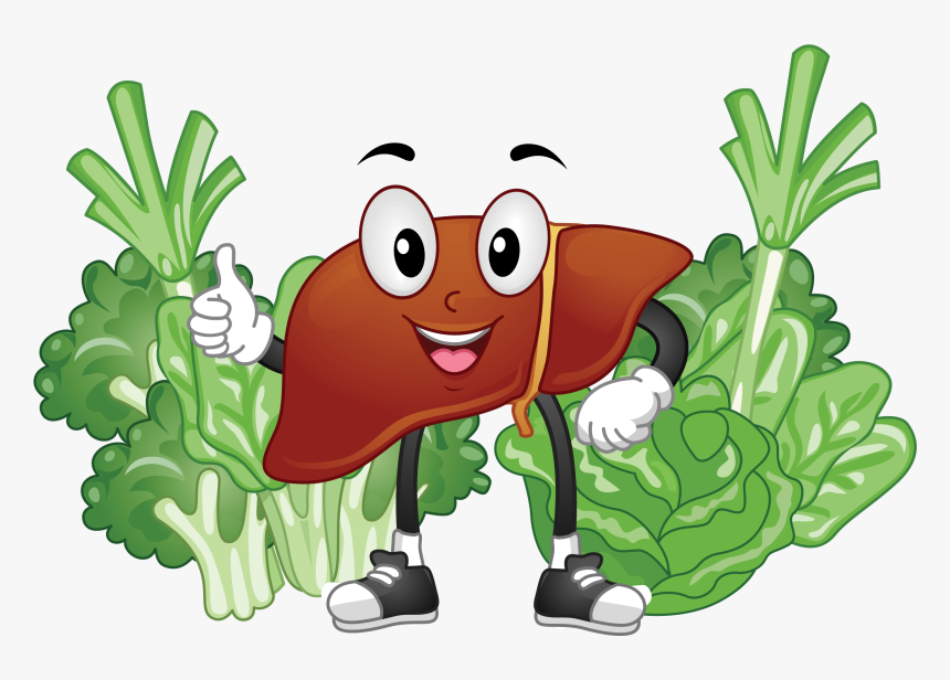 Liver Food Clipart, HD Png Download, Free Download