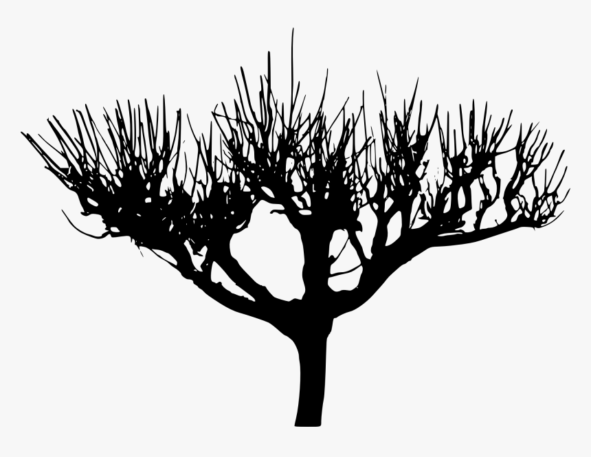 Tree Silhouette 2 - Silhouette, HD Png Download, Free Download