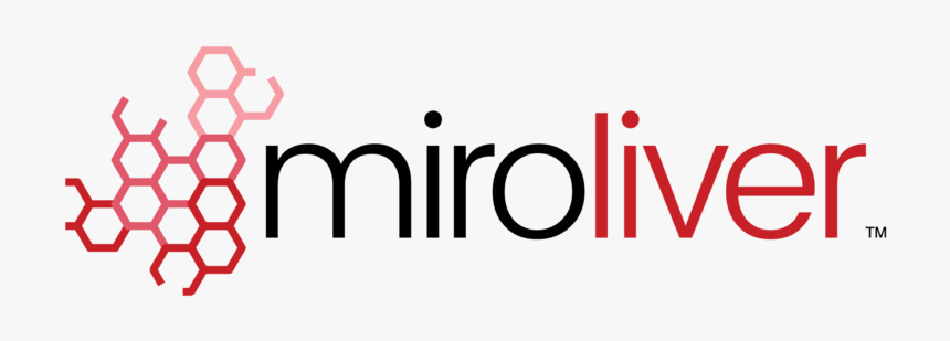 Graphic Design, HD Png Download, Free Download