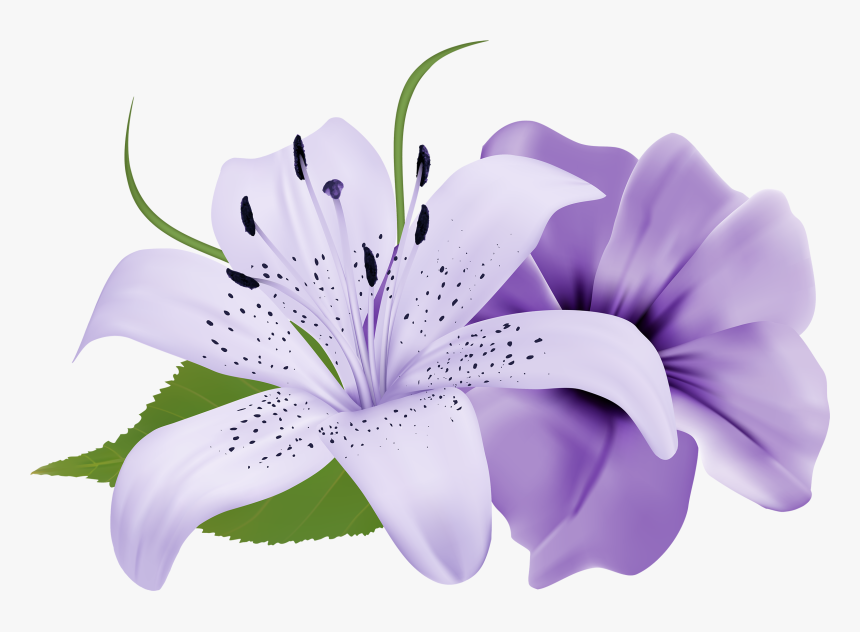 Single Flower Image Border, HD Png Download, Free Download