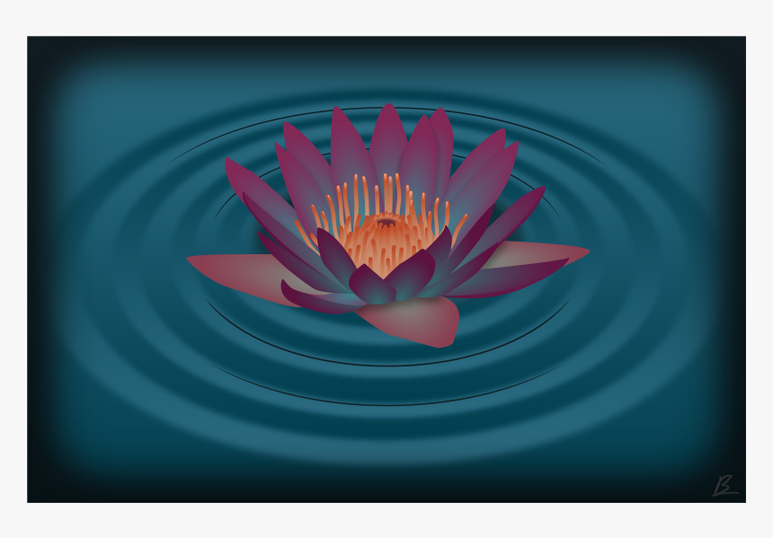 Portfolio - Sacred Lotus, HD Png Download, Free Download