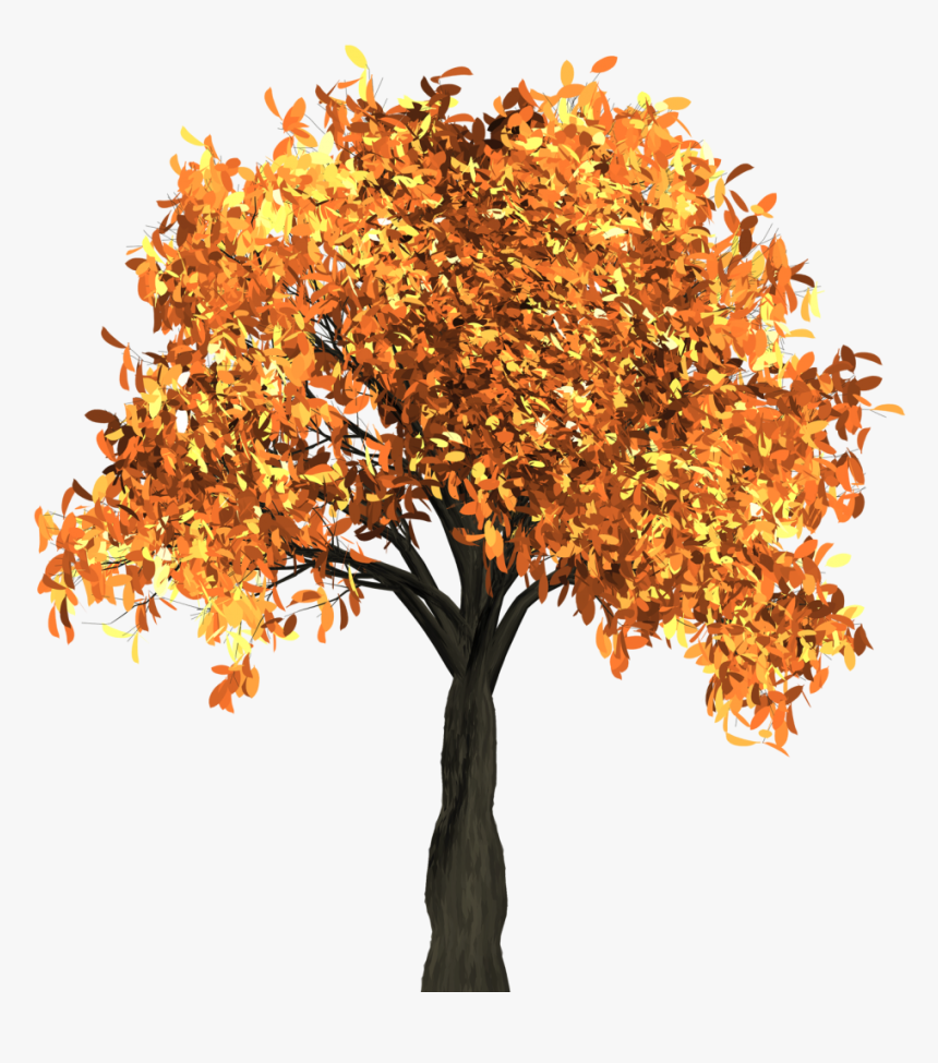Autumn Tree Png Image - Fall Tree No Background, Transparent Png, Free Download