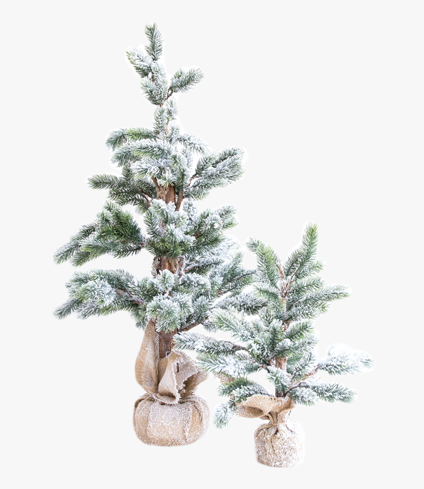 Faux Snowy Pine Tree 2 - Christmas Tree, HD Png Download, Free Download