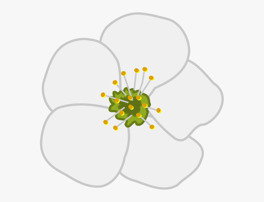 Cherry Flower Png Clip Arts - Apple Blossom Tree Clip Art, Transparent Png, Free Download