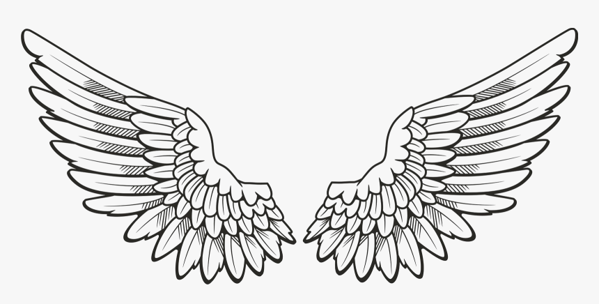 Transparent Golden Wings Png - Angel Wings Drawing Png, Png Download ...
