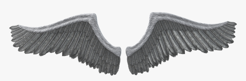 Concept,computer Graphics,digital Art,isolated,free - Angel, HD Png Download, Free Download