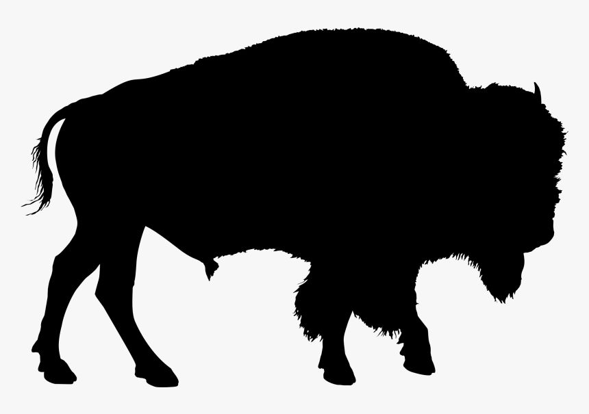 Buffalo Clipart Png - Bison Silhouette Png, Transparent Png, Free Download
