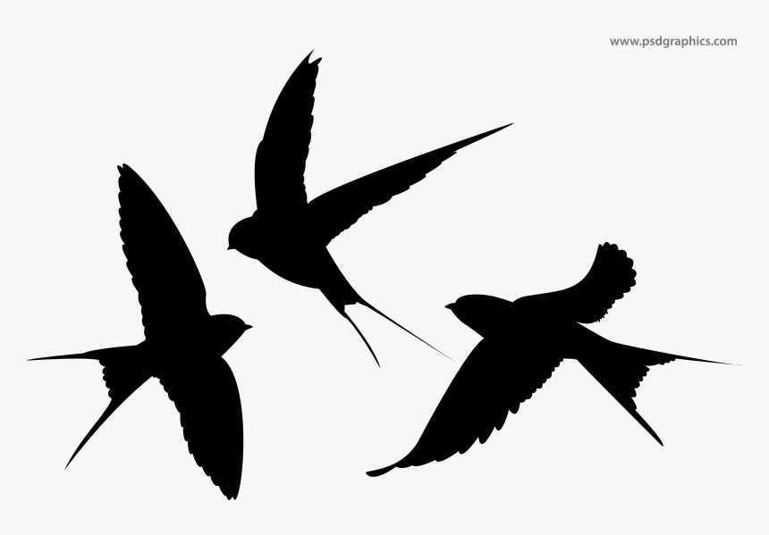 Swallow Silhouette Bird - Swallows Silhouette, HD Png Download, Free Download