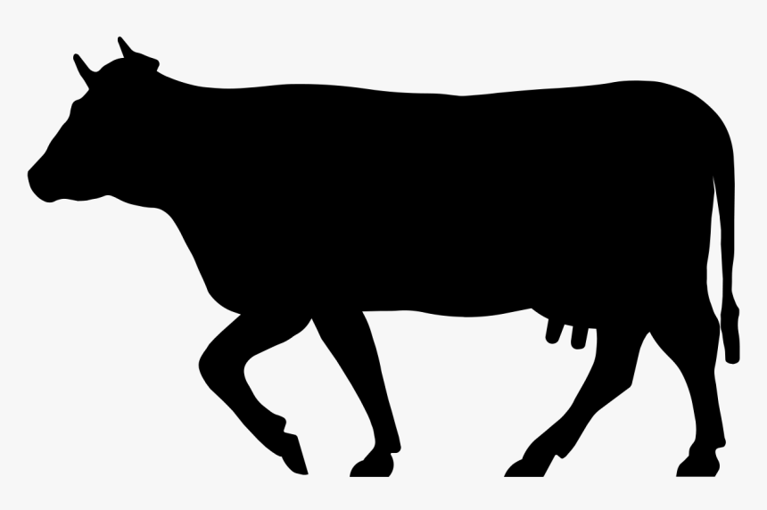 Cow Silhouette Png, Transparent Png, Free Download