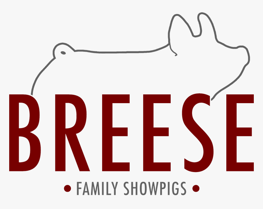 Show Pig Logos, HD Png Download, Free Download