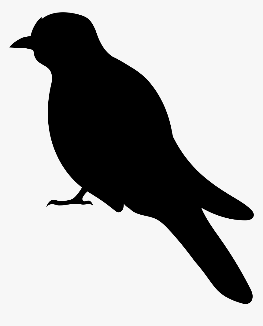 Bird Silhouette Png Clip Art Image, Transparent Png, Free Download