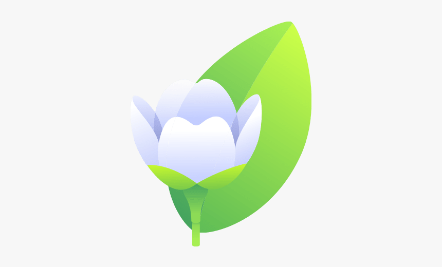 Jasmine - Sacred Lotus, HD Png Download, Free Download