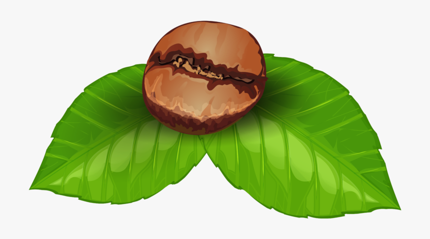 Coffee Beans Png Art, Transparent Png, Free Download
