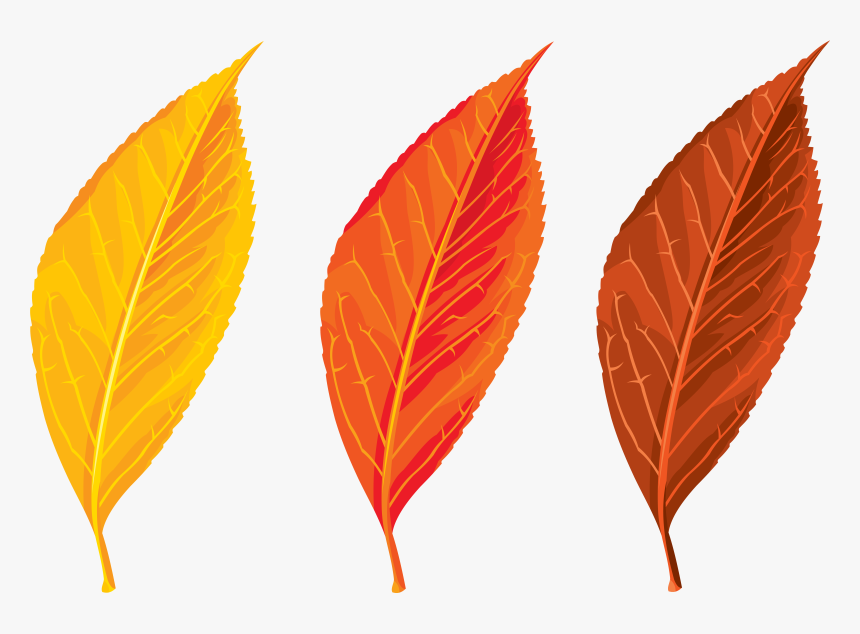 Top 82 Autumn Leaf Clip Art - Autumn Leaf Clipart Png, Transparent Png, Free Download