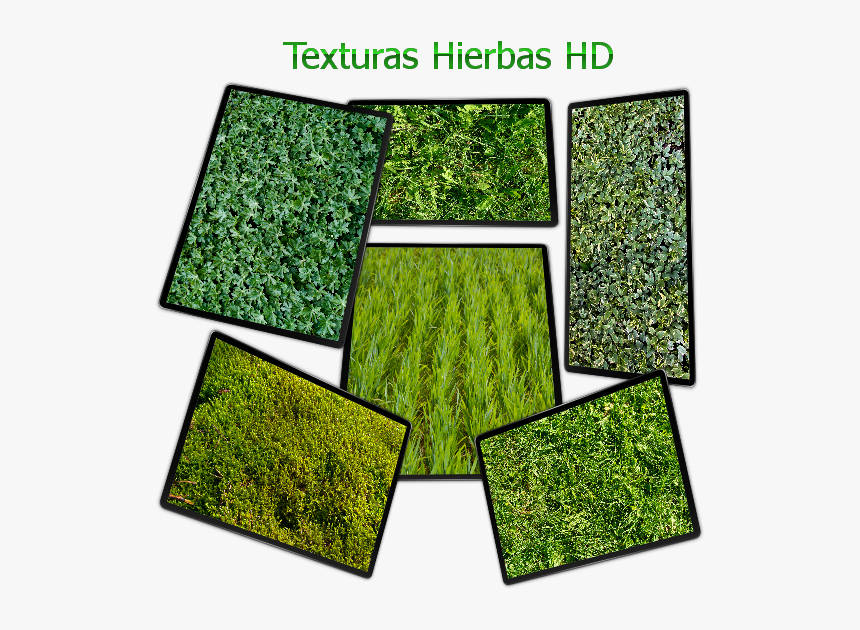 Texturas Png, Transparent Png, Free Download