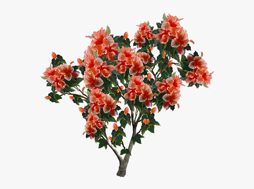 Bouquet, HD Png Download, Free Download