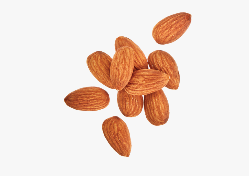 Almond, HD Png Download, Free Download