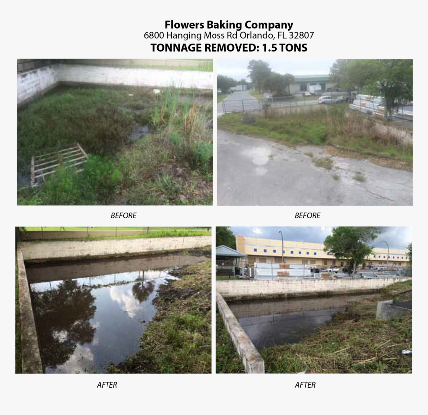 Florida Pond Cleaning Before And After Seven - Freshwater Marsh, HD Png Download, Free Download