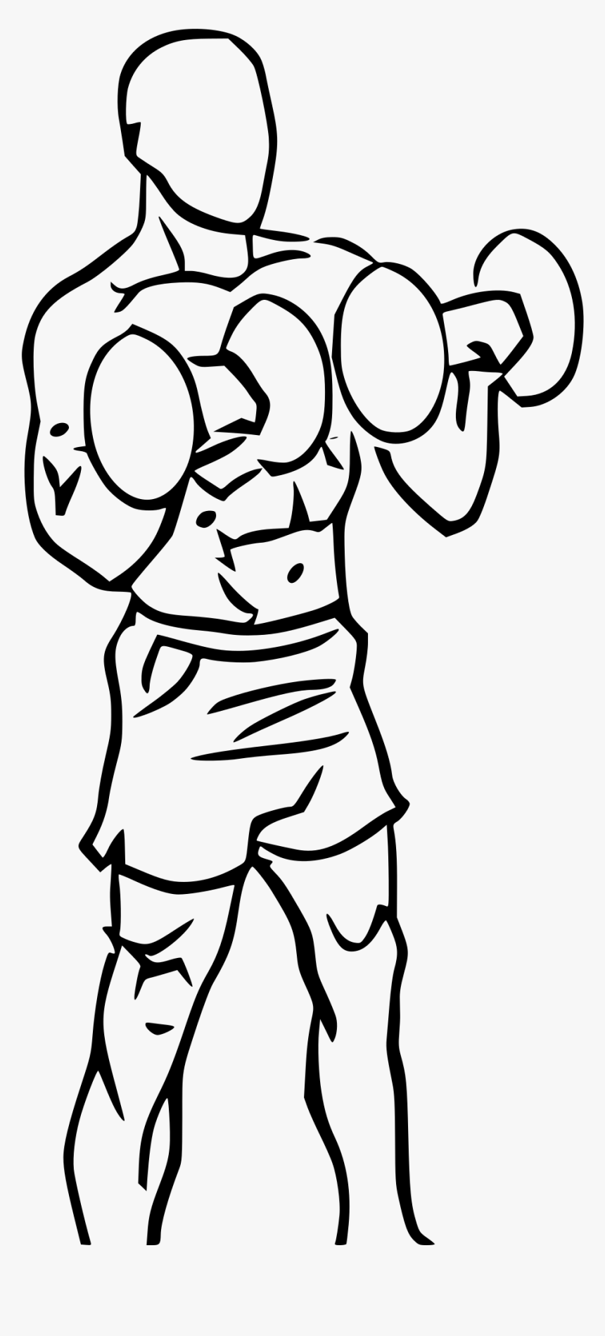 Biceps Curl Png, Transparent Png, Free Download