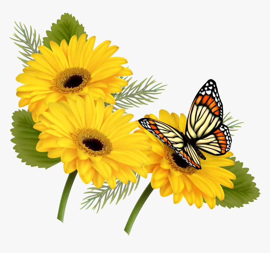 Yellow Butterfly Png, Transparent Png, Free Download
