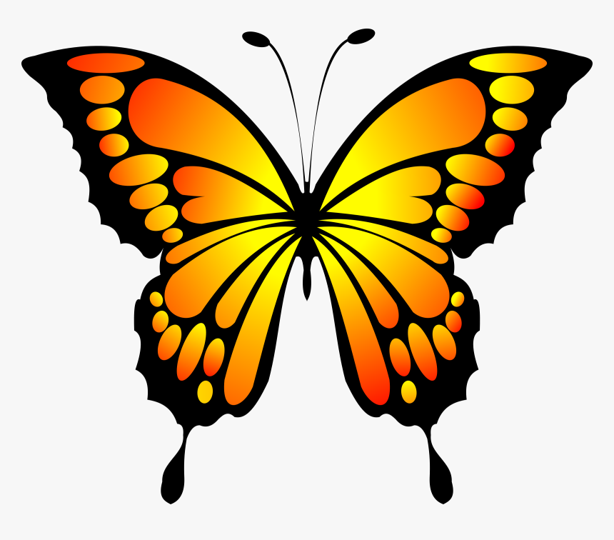 Yellow And Red Butterfly, HD Png Download, Free Download