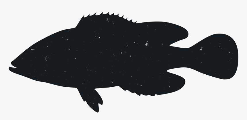 Silhouette Animal Marine Mammal - Illustration, HD Png Download, Free Download