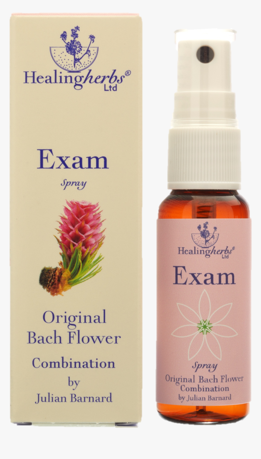 Floral De Bach Concentração, HD Png Download, Free Download