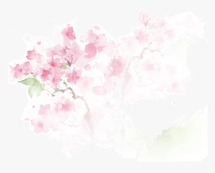 Cherry Blossom - Graphic Design, HD Png Download, Free Download