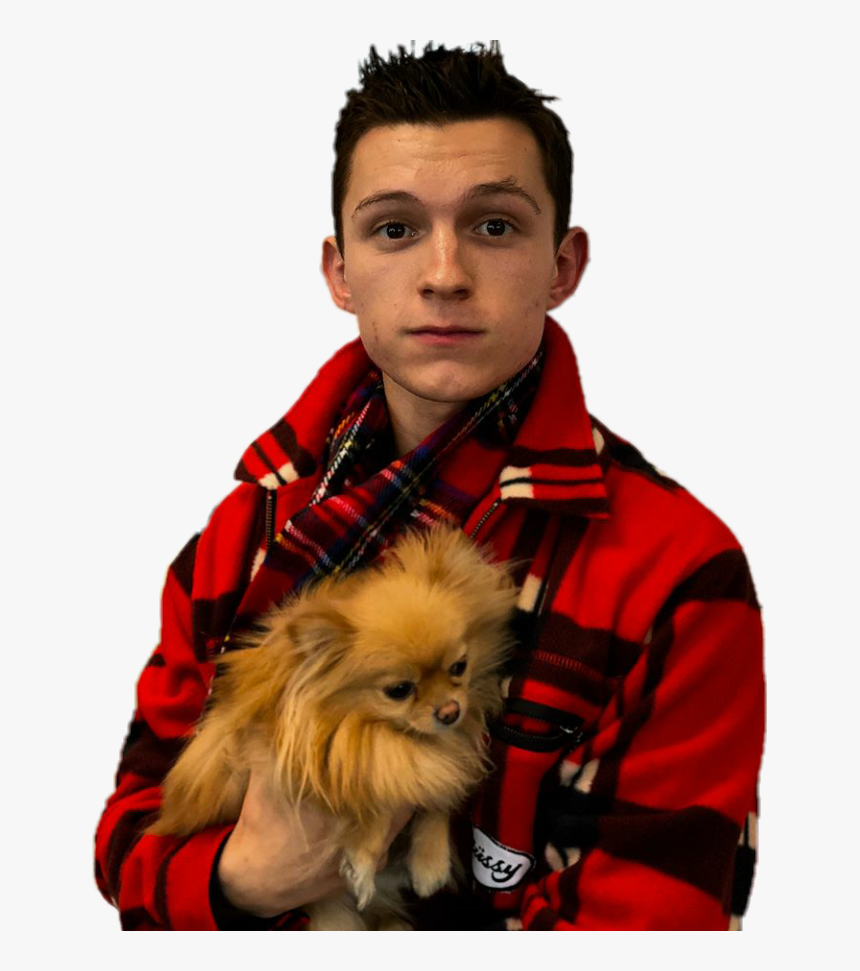 Tom Holland Png - Tom Holland And A Dog, Transparent Png, Free Download