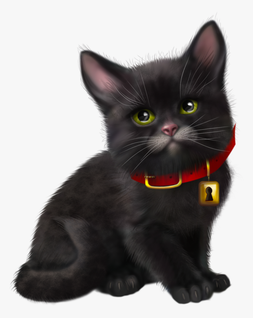 Magic Cat, Gifs, Cat Art, Tube, Cute Cats, Dog Cat, - Tube Black Cat Png, Transparent Png, Free Download