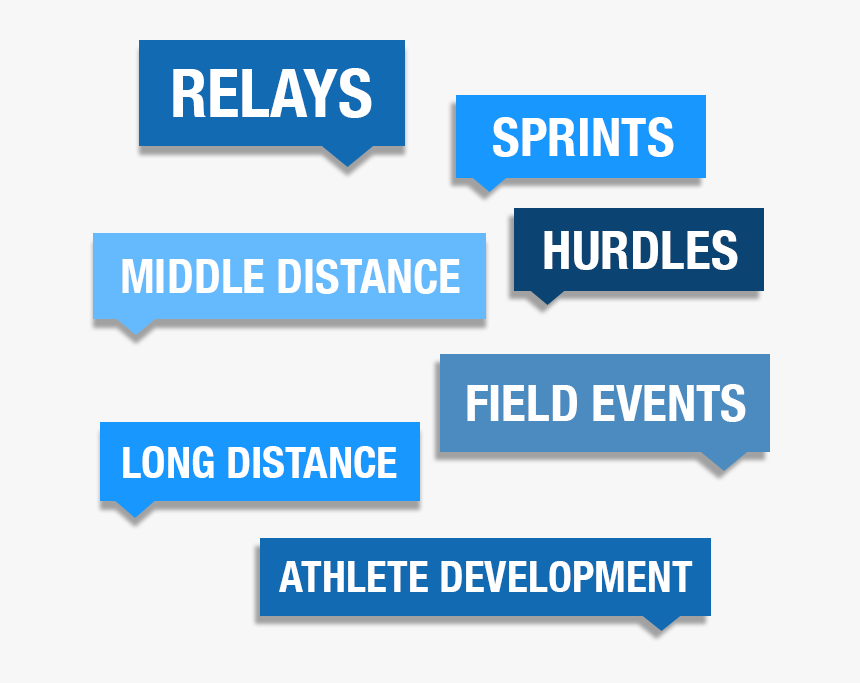 You"ll Walk Away From Our Track And Field Coaching - Online Advertising, HD Png Download, Free Download