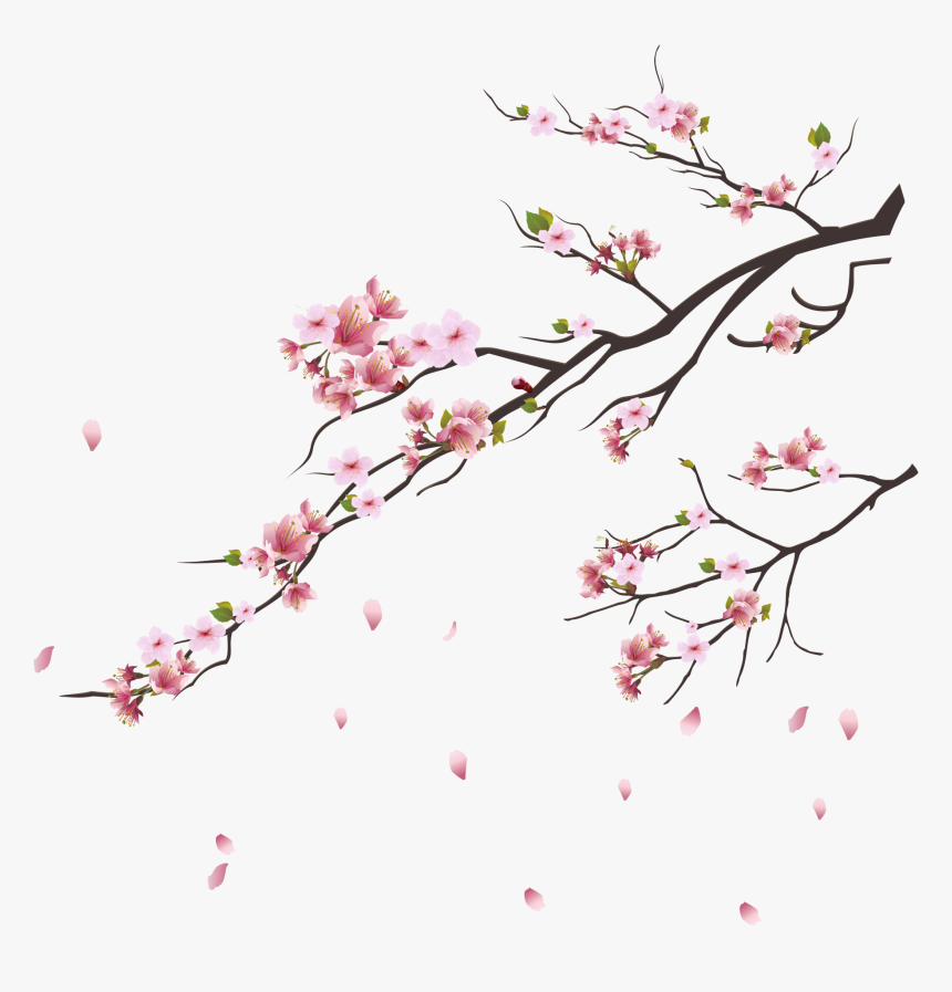 Blossom Trees, Cherry Blossom Tree, Pink Flowers, Botanical - Cherry Blossom Tree Png, Transparent Png, Free Download