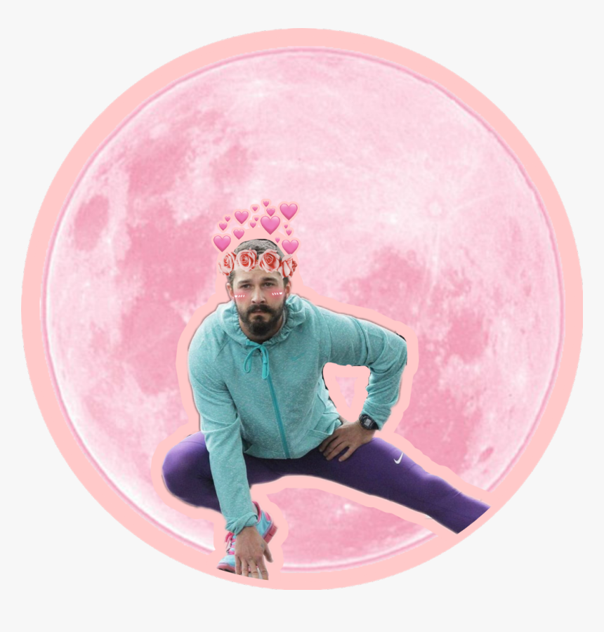 #shialabeouf - Shia Labeouf Small Penis, HD Png Download, Free Download