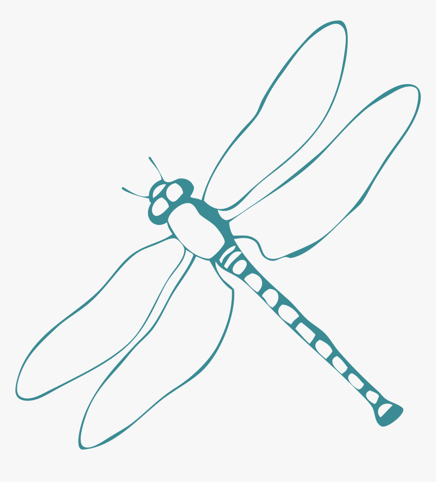 Logo - Net-winged Insects, HD Png Download, Free Download